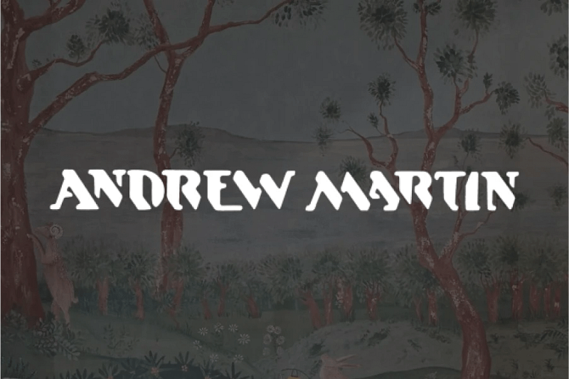 Andrew Martin